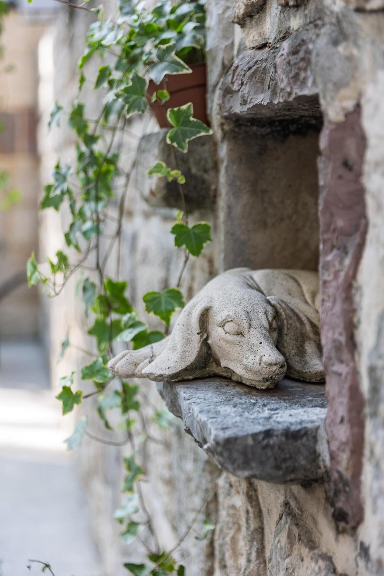 Verdi Kotor Kültér fotó